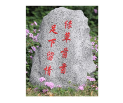 仿真石頭音箱 EAW-640P