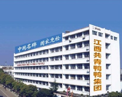 江西共青城新鴨鴨集團(tuán)